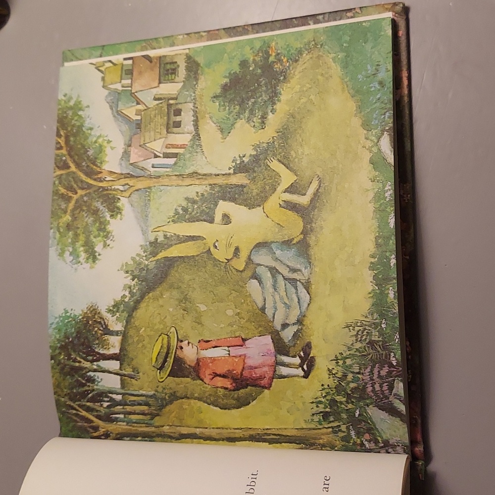 ❤️ Mr. Rabbit And The Lovely Present - Picture 9 of 16